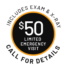 Emergency Exam special